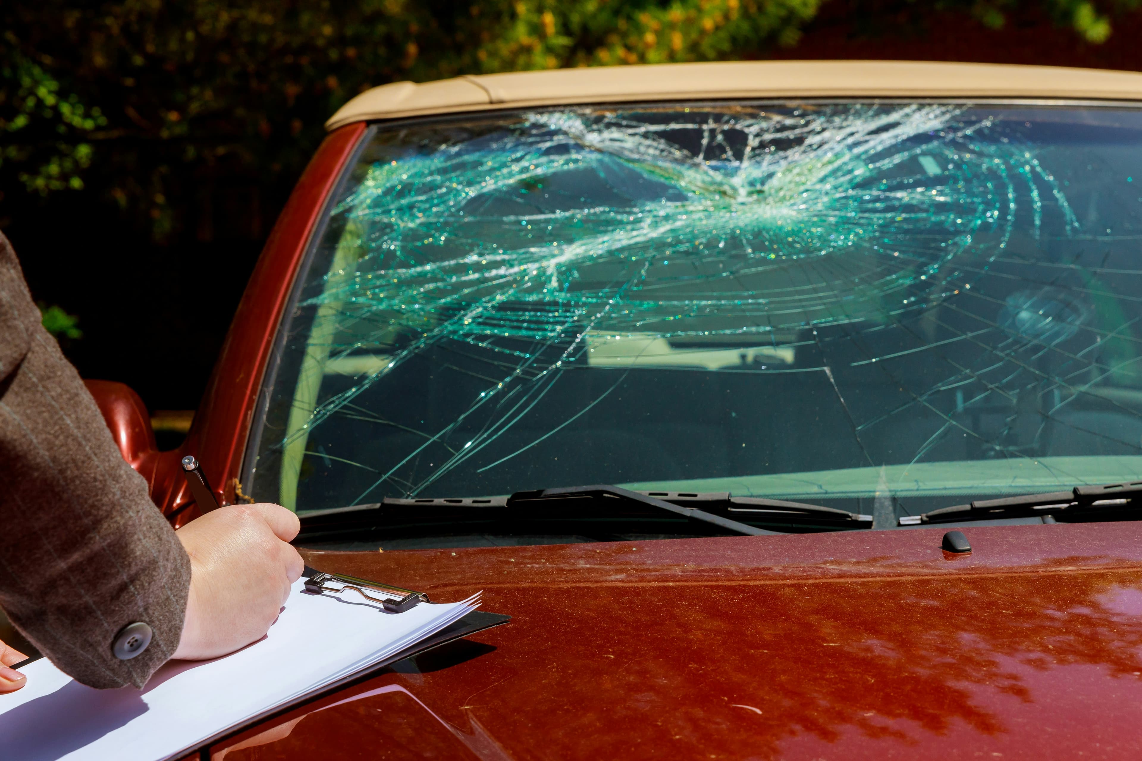 Professional vehicle damage inspection